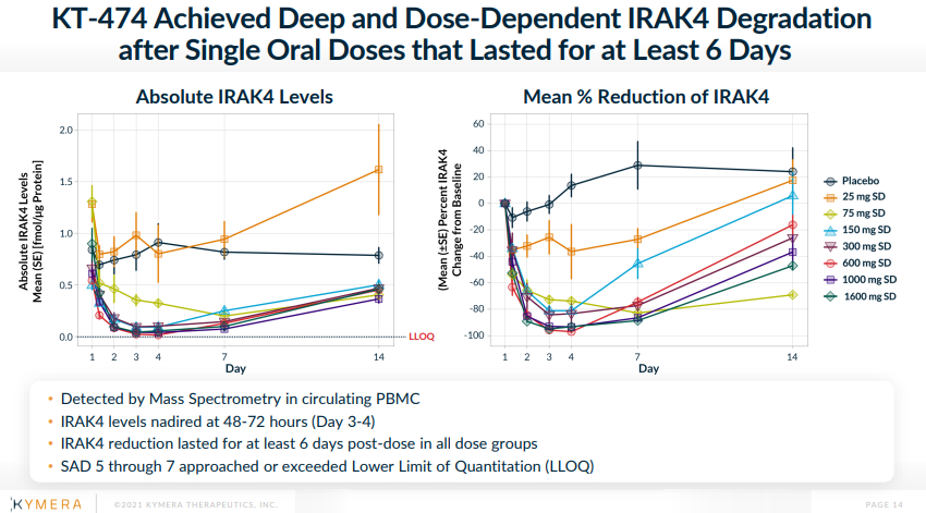 Ohad Hammer tweet media