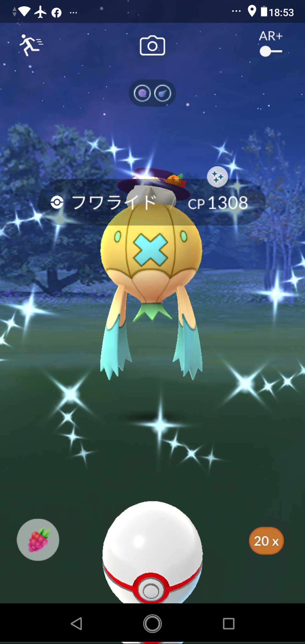 Cyber0515 Pokemongo Only お出ましいただきました 色違いフワライド 色違いポケモン フワライドレイド ポケモンgo Pokemongo Shinypokemon T Co Yb1xk2brh4 Twitter