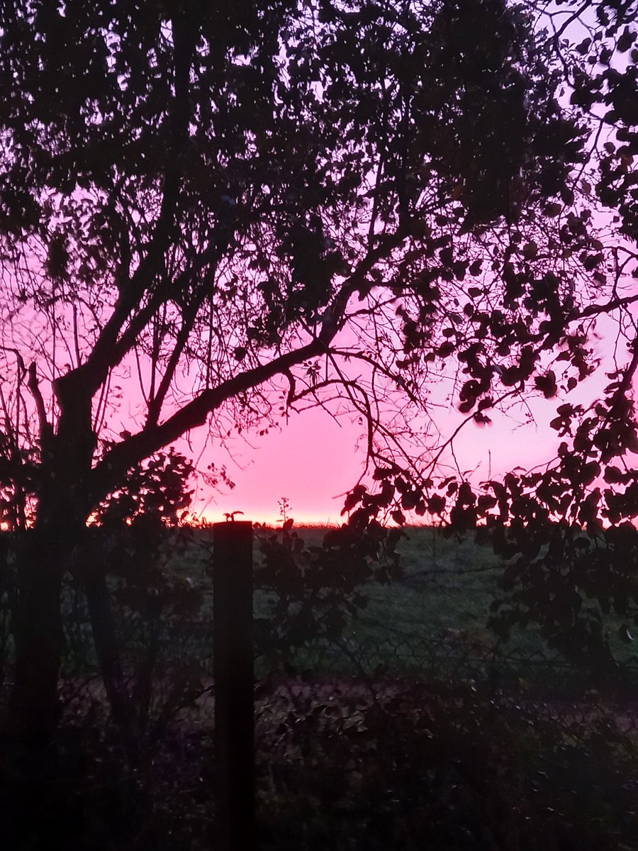Beautiful  sunrise this morning at Earith #fenlandsunrise #fenlandskies <a href="/ChrisPage90/">Chris Page - Weatherman</a> <a href="/itvweather/">ITV Weather</a> @ <a href="/WeatherAisling/">Aisling Creevey</a>  #Chrispage #aislingcreevey