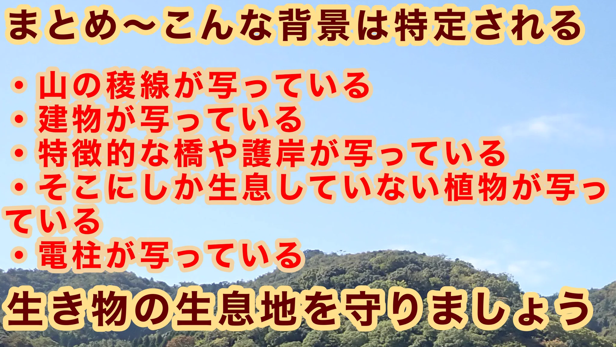 観察ケースを使って淡水魚を撮影する時は？風景が写り込まないように注意！