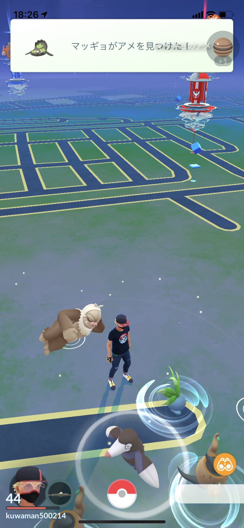 ポケモン野郎 P7qeqvtulkslz8l Twitter