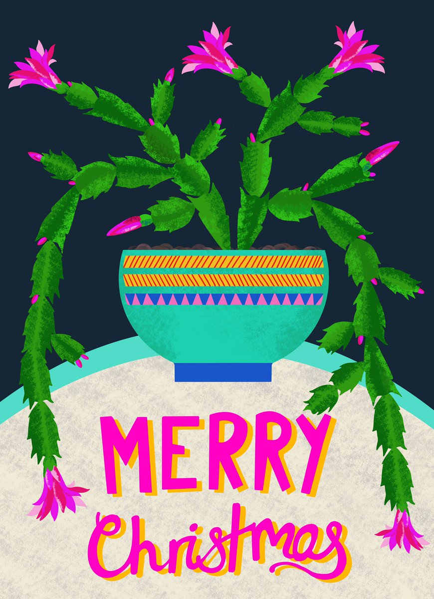 This is the last of the new Christmas card designs which I will be selling in my online shop from the beginning of November, it’s a Mixed pack of five designs. Thanks for looking 🌵🌵