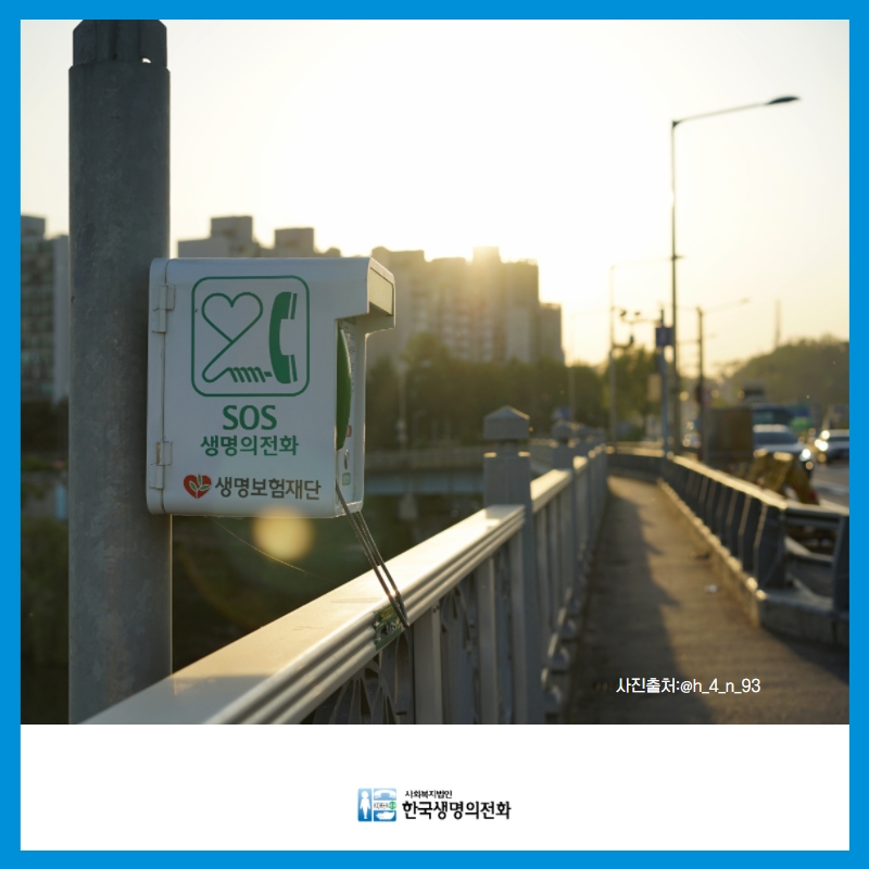 벼랑 끝에 위태롭게 서있는 누군가가
마지막에라도 발견해주길 바라며
시작한 #SOS생명의전화 가
올해 10주년을 맞이했습니다!

많은 분이 예쁘게 담아주신
한강 다리 위 초록빛 전화기🌉

재능기부로 함께해주신
송승욱, 이금주, 임한민, 봉하성 작가님을 포함한
능력자분들께 진심으로 감사드려요🙏