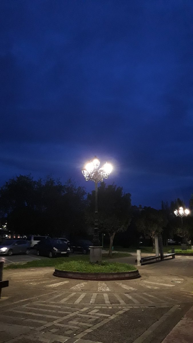 AdrycManellson's tweet photo. Weed Día Verde Mundo.
En #AdrycsCove amaneció Gris, #ThePureLed480Pro @ThePureFactory_ by @DPlantasur se apagó y las #BudMaker, #Explode, etc, de mi #Auditoría #Auto a @GreenbudSeeds en #PureTent #RefPet se fueron a dormir.
Y desde, junto a mi Hada Os Deseamos Feliz fin de...🧚‍♂️😎 https://t.co/l2kM3S3b1u