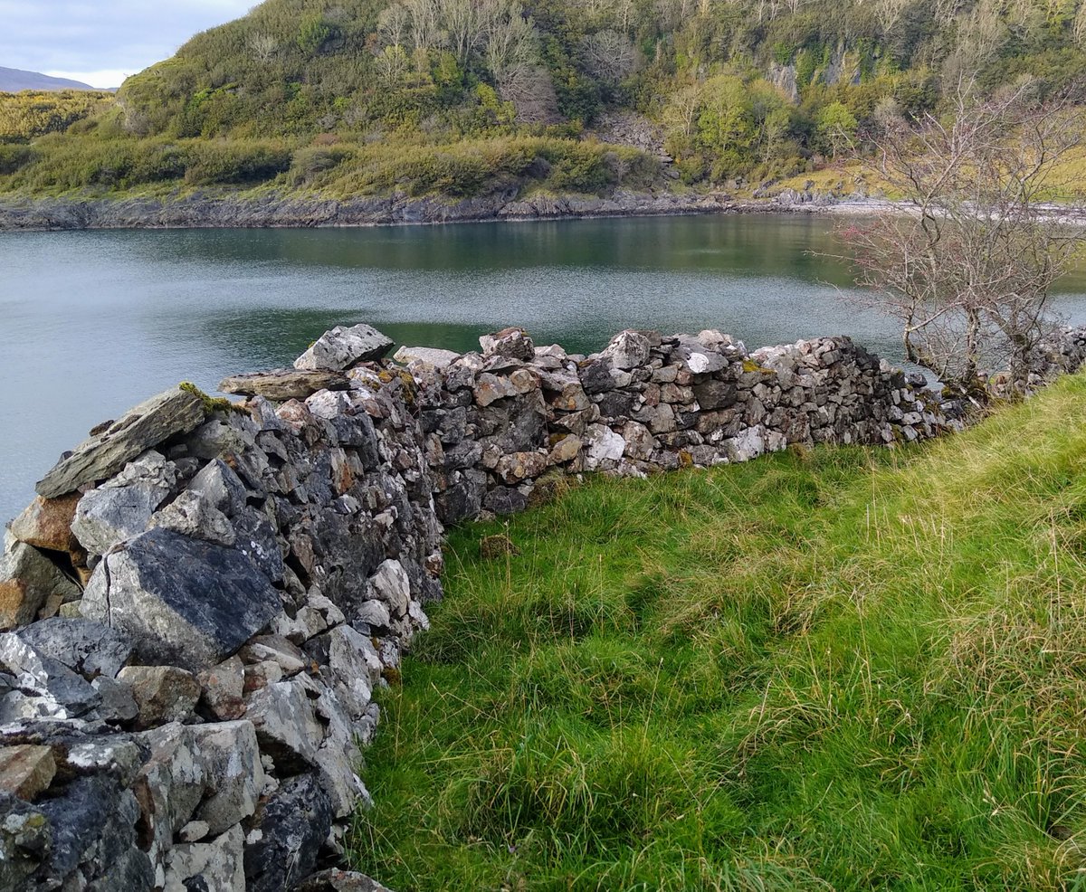 walklismore's tweet photo. This interesting walk from Point ferry to the  peninsula of Alasra is difficult in places as it involves some scrambling and stooping in hazel woods.
https://t.co/b1U8oG0LEZ https://t.co/KhB7VeKiqL