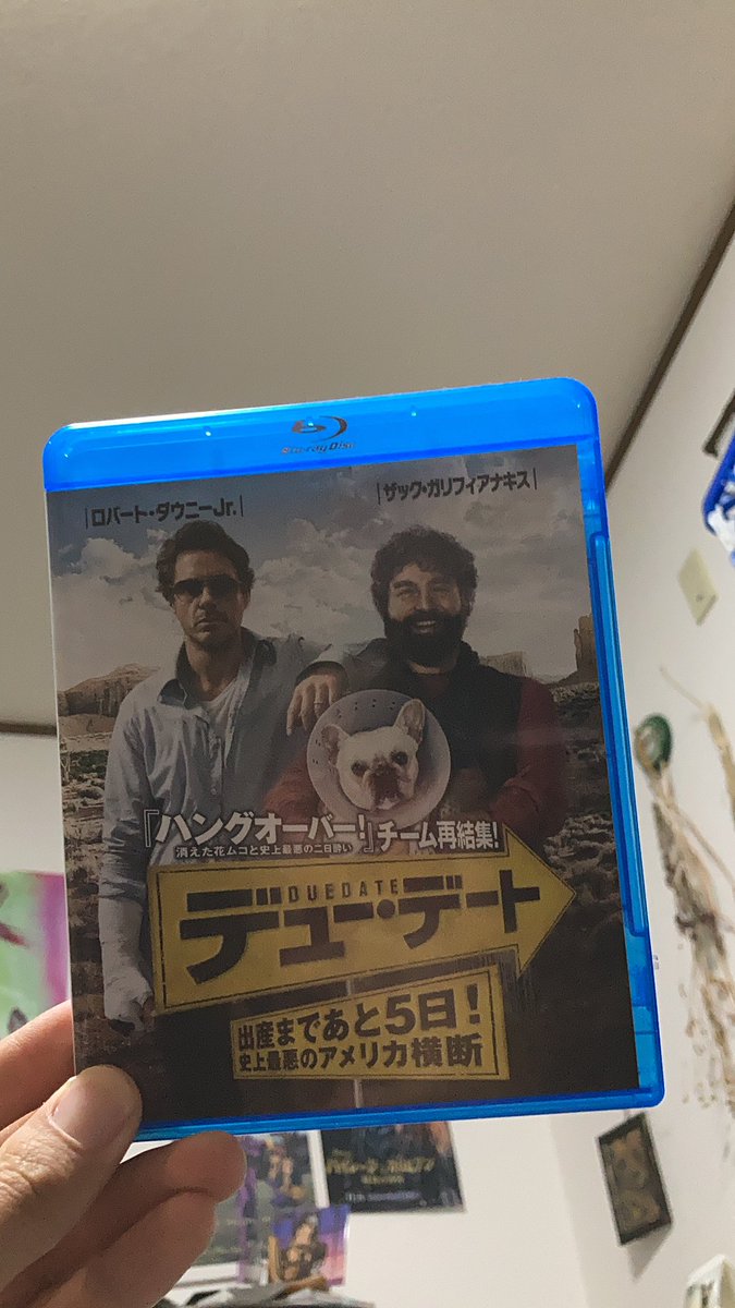 ザック ガリフィアナキス Twitter Search Twitter