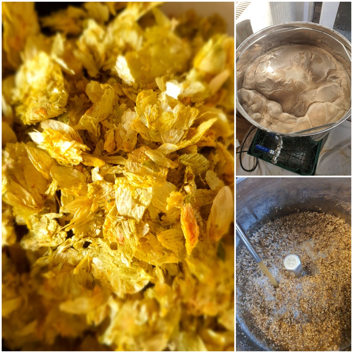 whale_beer's tweet image. IPA brewing to go along with the Christmas Beer. If you follow on Facebook (meta?) Check out a much longer post. All gratitude as always to @BeerTorrent 

#beers #brewday #craftbeer