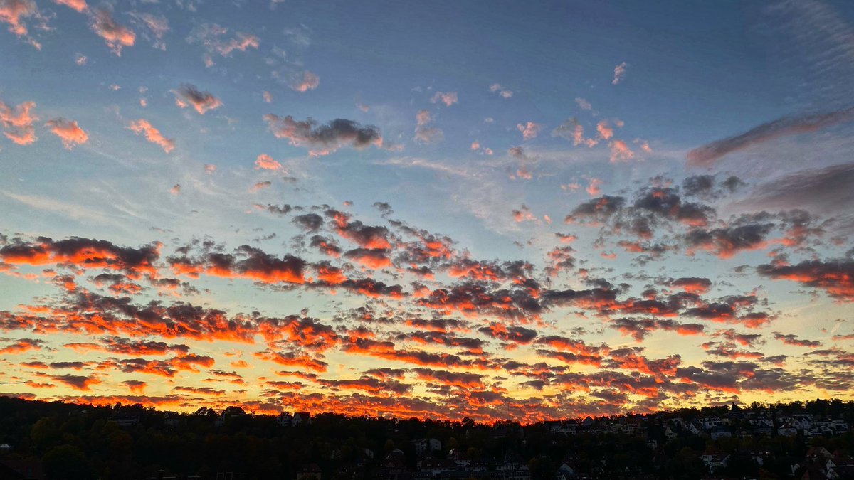 Herbsthimmel - heute morgen und aus den letzten Tagen. Einfach schön.