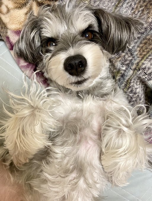 ã¬ãããã¿æð§žð§ž
çãããã
ãððâ€ïž