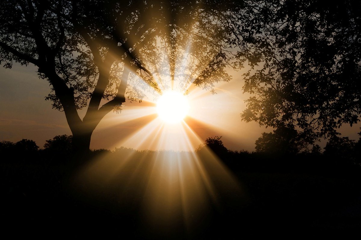 AndorasEnergy's tweet photo. "Don't fight a battle if you don't gain anything by winning."
Bring Light Into Your Life With Andora's Healing Light!
https://t.co/pTXqvG974O https://t.co/YWeEtWSv91
