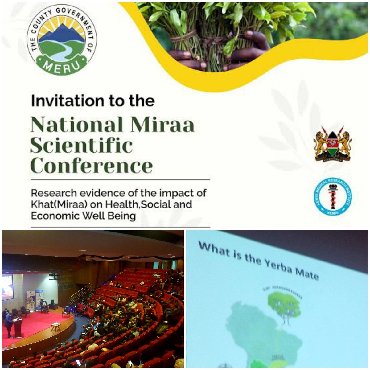Thanks/Asante for inviting #MergingMundos to share the journey that #YerbaMate, a fusion from #Argentina, has gone through for its commercialization around the world. A special thanks to #Meru <a href="/GovKiraitu/">Gov. Kiraitu Murungi</a> and to the people/farmers of <a href="/MeruCounty012/">MeruCountyGovernment</a>. 
#TukoPamoja #SouthSouthCoop.