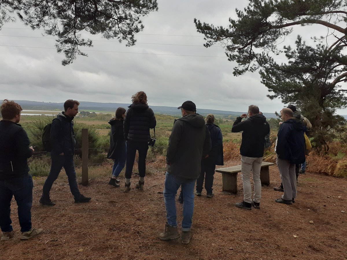 KeasdenKate's tweet photo. Great day out y'day @RSPBArne, Poole Harbour and adjacent #SANGs talking to @DefraGovUK about how Protected Site Strategies under the #EnvironmentBill could deliver for nature, with help from @NaturalEngland and @DorsetHeaths https://t.co/lAYxTltgPI