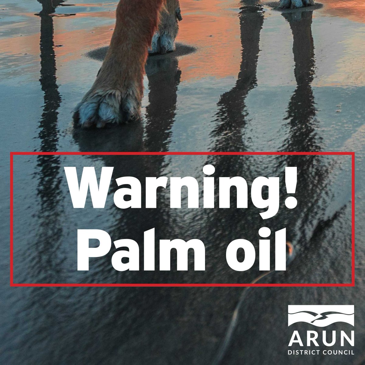 BBC Sussex tweet media