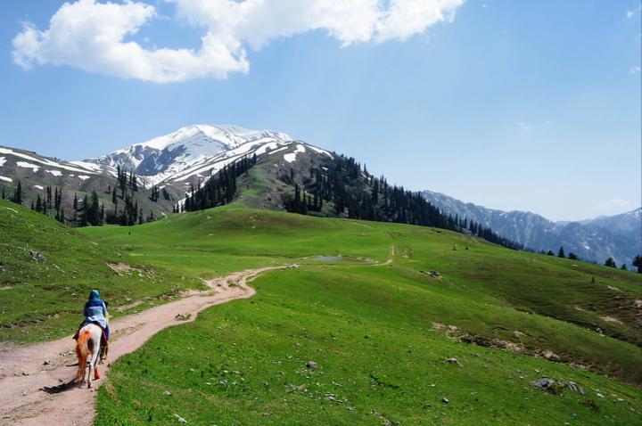 Advpakistan1's tweet photo. Makra Peak
The #Makra is a #scenic #peak in the #Mansehra District in #Hazara #Region of the #Himalayas in #northern #Pakistan. It is 3,885 m (12,746 ft) high and almost 200 km (120 mi) from #Islamabad on the #Naran #Road. #Mountains #greenery #nature #Explore #beautifulpakistan https://t.co/DfnSdlt2xw
