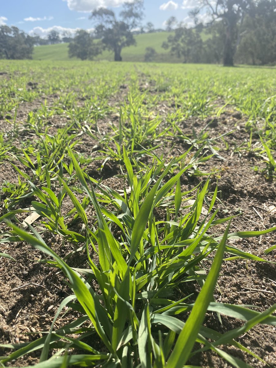 Tim Leeming tweet media