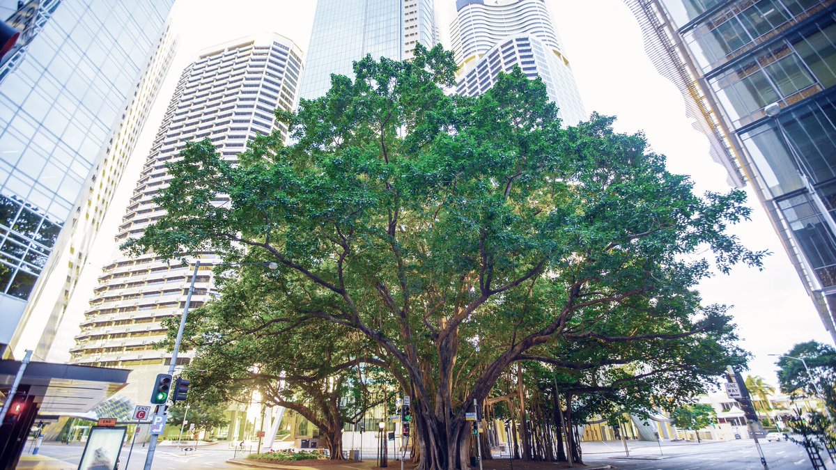 Ilmastokriisin ratkaiseminen ja lämpenemisen pysäyttäminen 1,5 °C:seen on aikamme suurimpia haasteita, ja myös meillä finanssialalla on oma merkittävä roolimme kriisin ratkaisemisessa. On tärkeää, että asian kiireellisyyttä pidetään esillä eri tavoin ➡️ nordea.com/fi/uutiset/ilm…