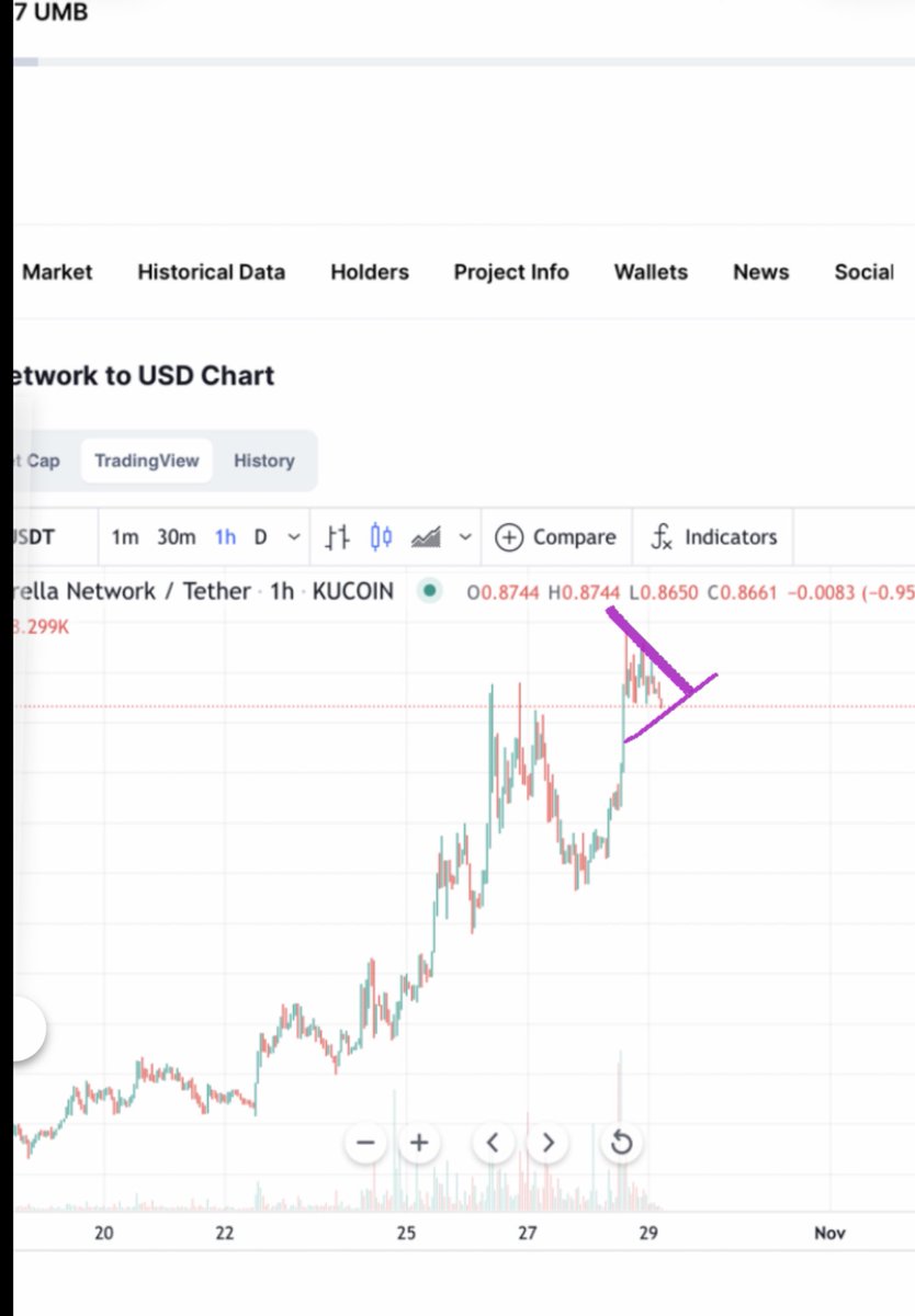 bitciongg's tweet photo. @UmbNetwork @0xPolygon Hourly time frame. Strong bull flag https://t.co/508ni9jXSb