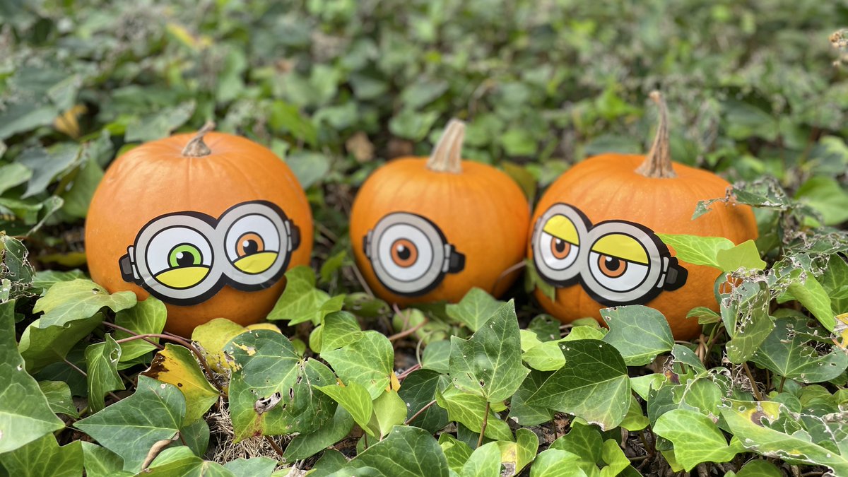 ミニオン　10球　ライト　ハロウィン ミニオン 10球 ライト ハロウィン ミニオン 10球 ライト ハロウィン