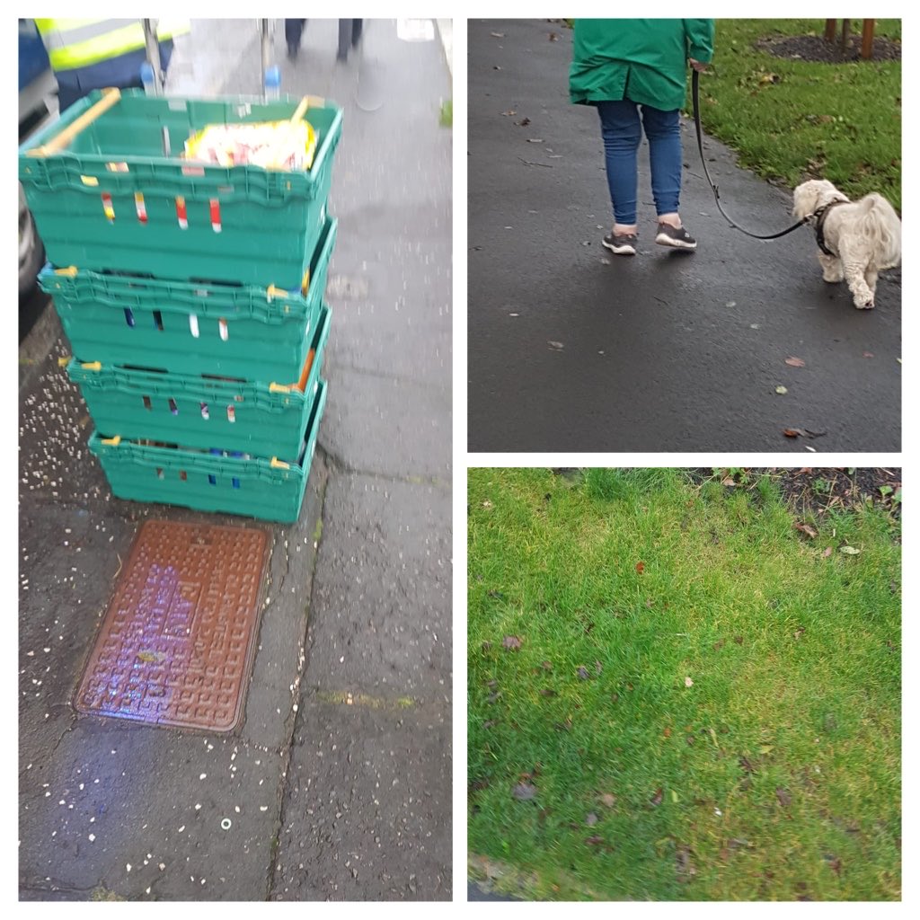 ChannelleF's tweet image. ⁦@NLActiveSchools⁩  ⁦@Berginator⁩ ⁦@kildrum_ps⁩  yesterday’s green rainbow colours on Bailey and Beaus walk to school #NLWalktherainbow