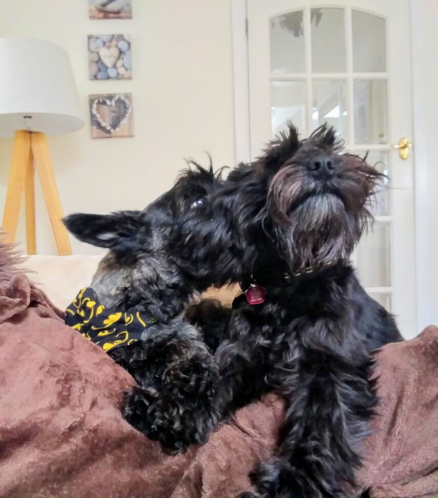 Happy Friday pals!🐾🤗