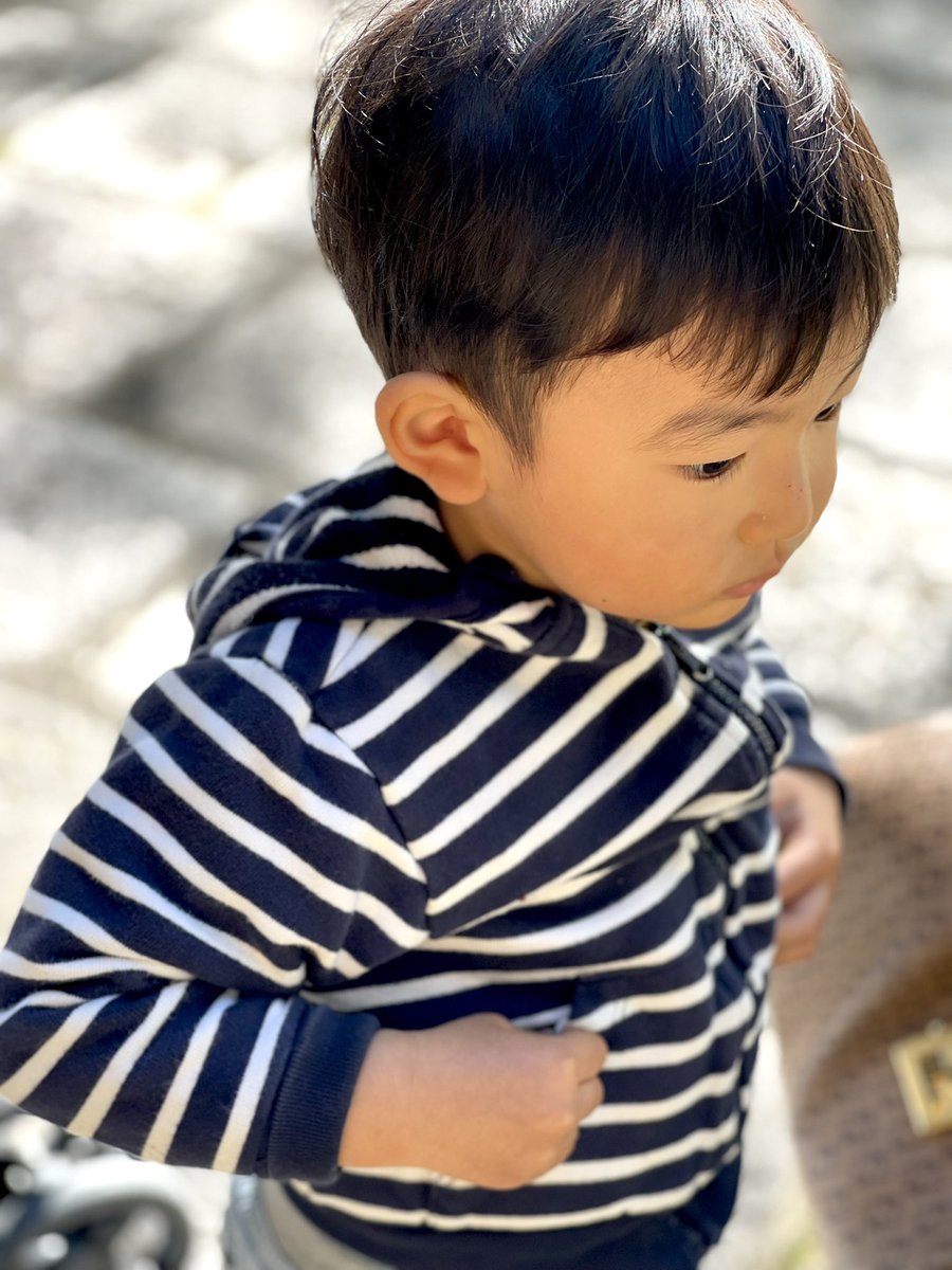 NatsuTagu's tweet photo. 初めて見るカタツムリに「いし　うごいた！！」って、びっくりしてる2歳児。 https://t.co/ZrsAuvURZz