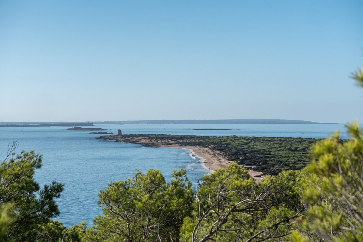 peixnostrum's tweet photo. 💬 Sabías que los efectos de una reserva son varios y se visibilizan a partir de los 4 años : desde poder comprobar y medir los recursos pesqueros en una zona concreta, hasta las comparativas entre las zonas de máxima protección. 🐟 🌊 https://t.co/Eq6uUecqnN https://t.co/FCWhJAdNxl