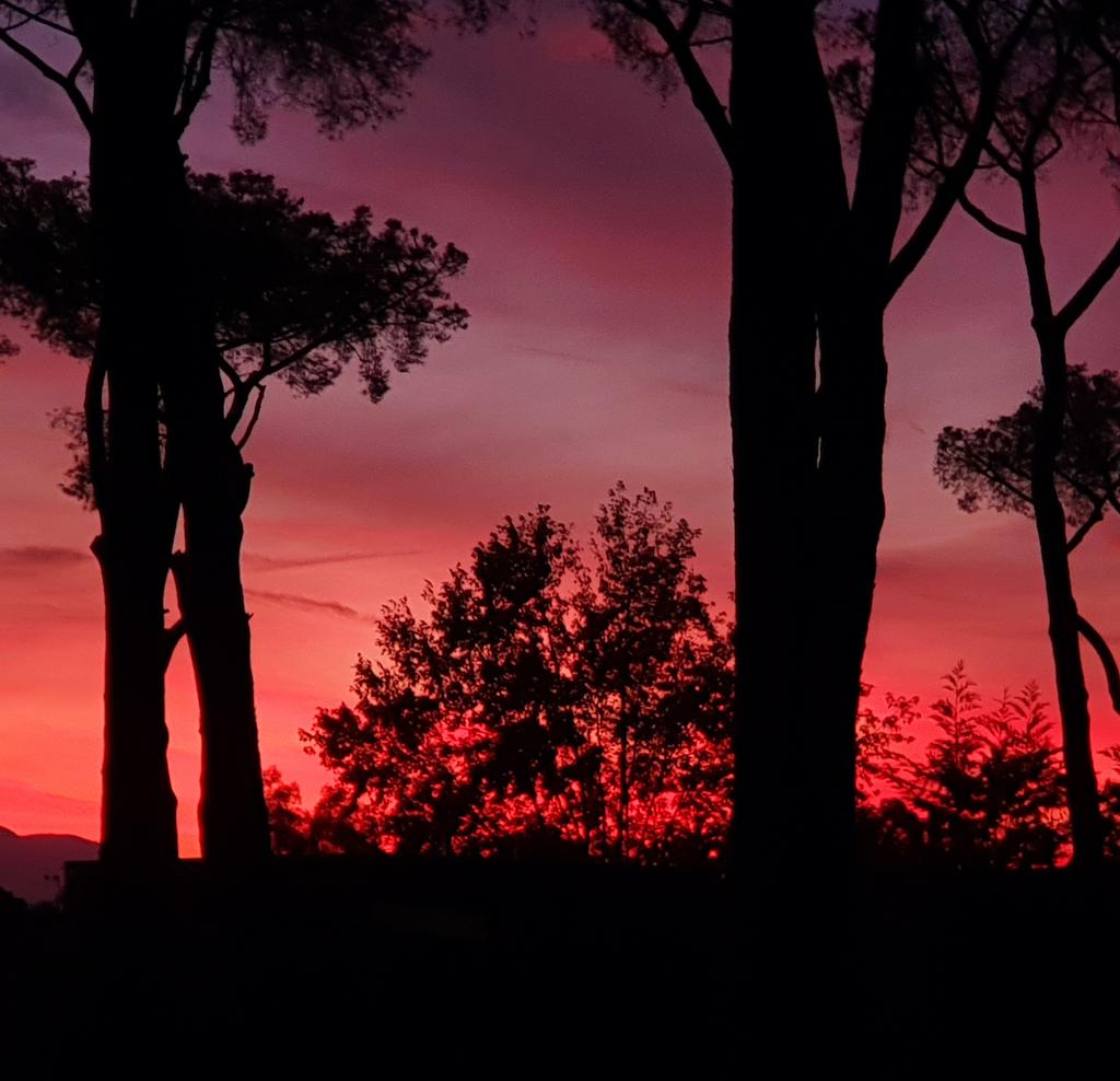 Schönen Morgen allerseits!

Letzte Grüße aus Rom. 

Mit Luther zum Papst.

<a href="/mlzp2021/">Mit Luther zum Papst</a> <a href="/thorstix/">t:horst:en | thorsti:x</a> @kirche_bei_SAW @EvJugendEKM <a href="/BistumMagdeburg/">Bistum Magdeburg</a> <a href="/kircheanhalt/">KircheAnhalt</a>