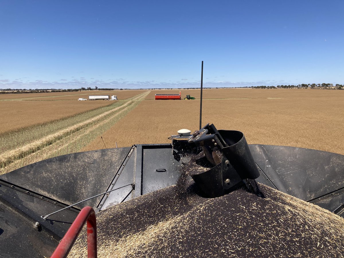 Due to unforeseen circumstances, we are looking for a header driver or HC truck driver for this harvest in the Nhill-Jeparit area; mid Nov until end of Dec. 

*Experience preferred. 
*High attention to detail. 
*Reliable and trustworthy. 
*Wage + extras negotiable.