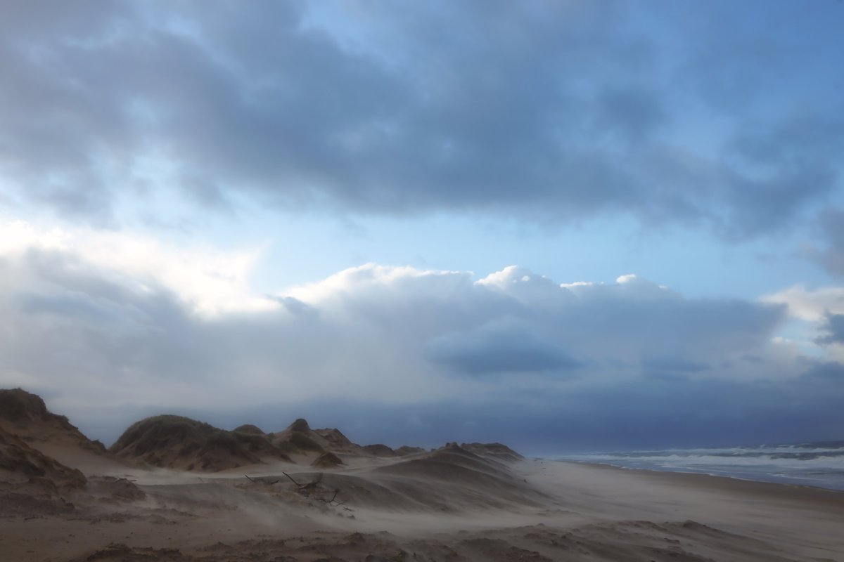 fredykoglin's tweet photo. „Nur die Lüge braucht die Stütze der Staatsgewalt.
Die Wahrheit steht von alleine aufrecht.“

Thomas Jefferson

https://t.co/zvZopL8zrn

#Denmark #Dänemark #Thyborøn #Thorsminde
#Love #Photography #Eichwalde #攝影⁩ ⁧#عکاسی⁩ ⁦#фотография⁩ ⁦#Fotoğrafçılık⁩ ⁦#Consequat⁩ https://t.co/KDdvqJ9EHP