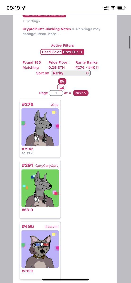 therealestategr's tweet photo. My cat boom π₯ to rank 3 π₯π₯π₯#cryptomutts #greyfur #NFTs #NFT #digitalart @kennyschac https://t.co/ooMmsIJsgX