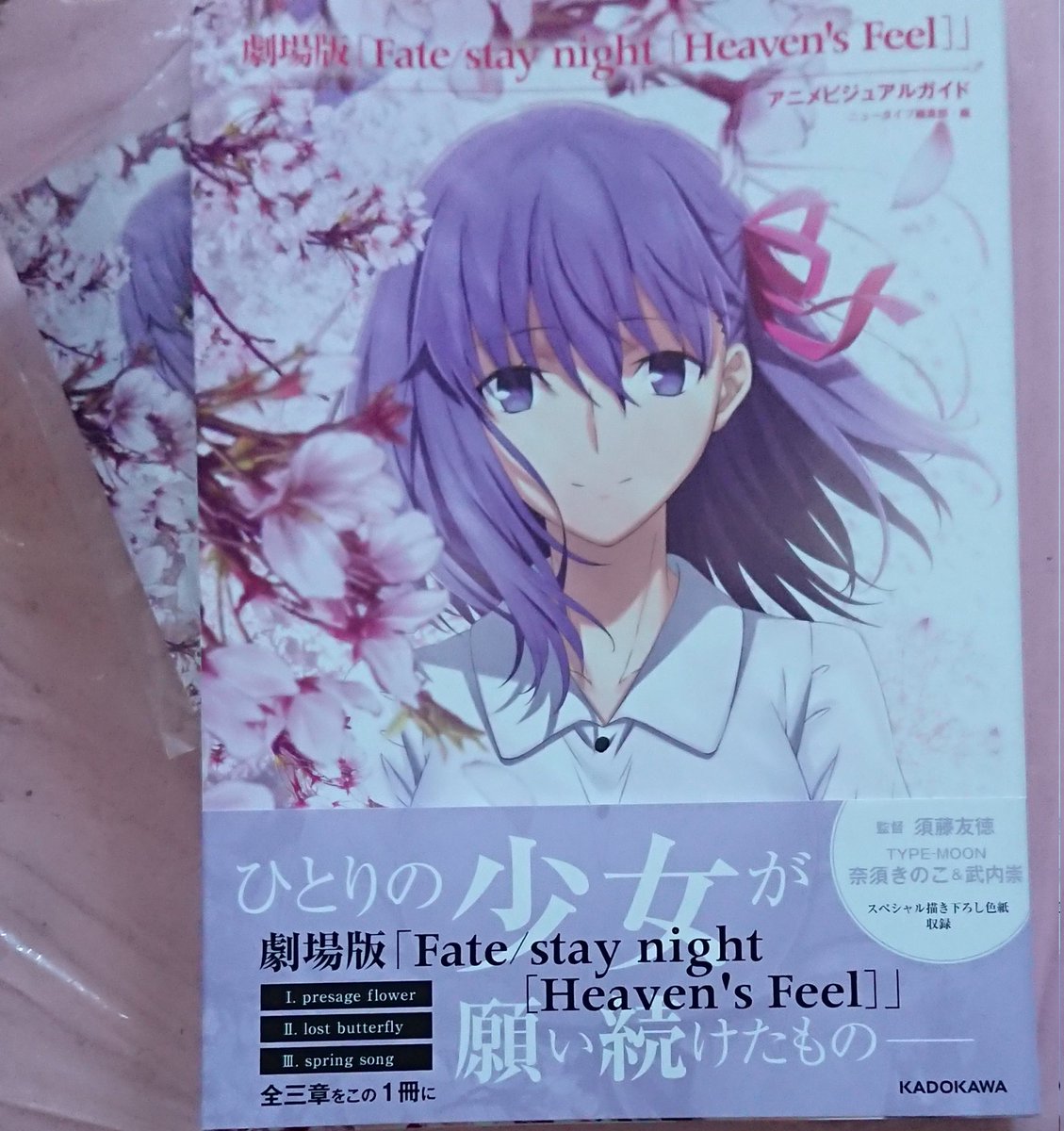コンテンツも満載 Fate ビジュアルガイド e5913c 店舗の在庫 Cfscr Com