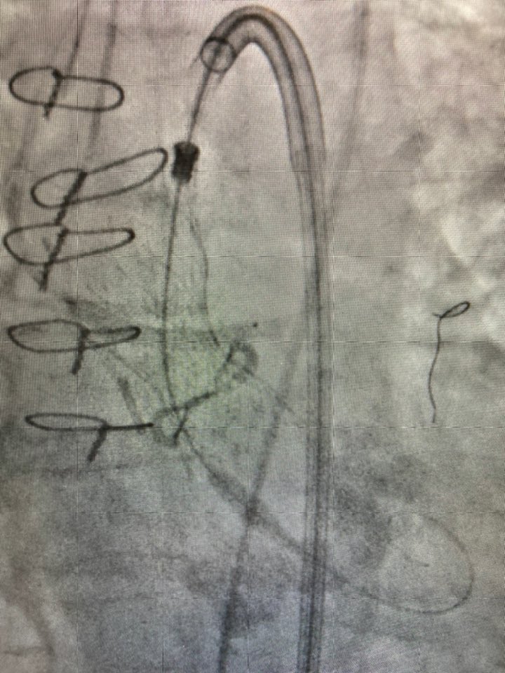 DrThomasCuisset tweet media