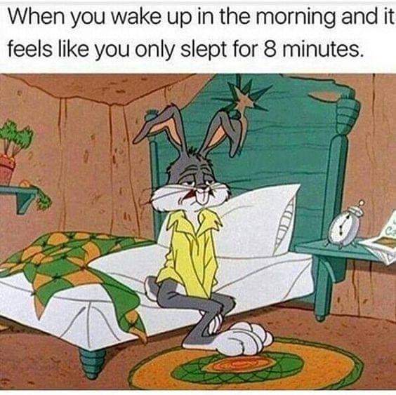 Anthea Marriott 💙🐦 tweet media