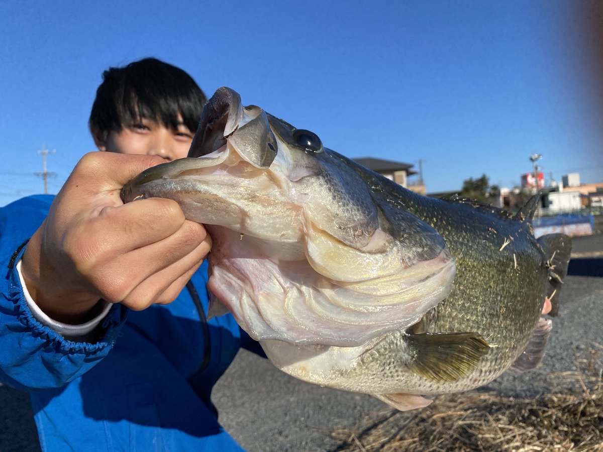 kousuke990730's tweet photo. 大江川で60センチ釣らせていただきました！！！
My大江川最高サイズもちろん更新です笑
ルアーはボトムアップのコスモにMPSセットしたスモラバです！
メジャーと測りを忘れてしまい、優しいお兄さんが貸してくれました！
ありがとうございました！
#大江川
#バス釣り
#ロクマル
#ボトムアップ https://t.co/syc2TcGmH0