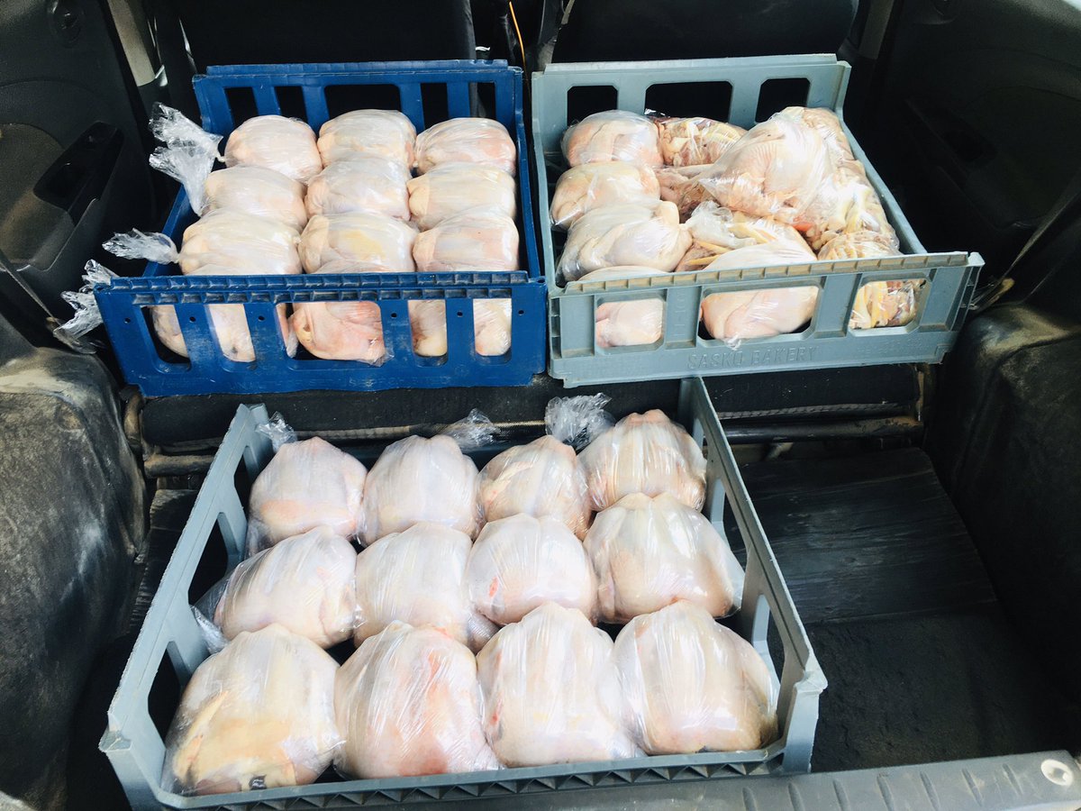 FarmerFrmNorth's tweet photo. Chickens available, ga-Maboi Polokwane Limpopo. Stock price R55 live and R70 dressed. Call: 0614070855 average live weight 2,4kg https://t.co/85QqBONABI