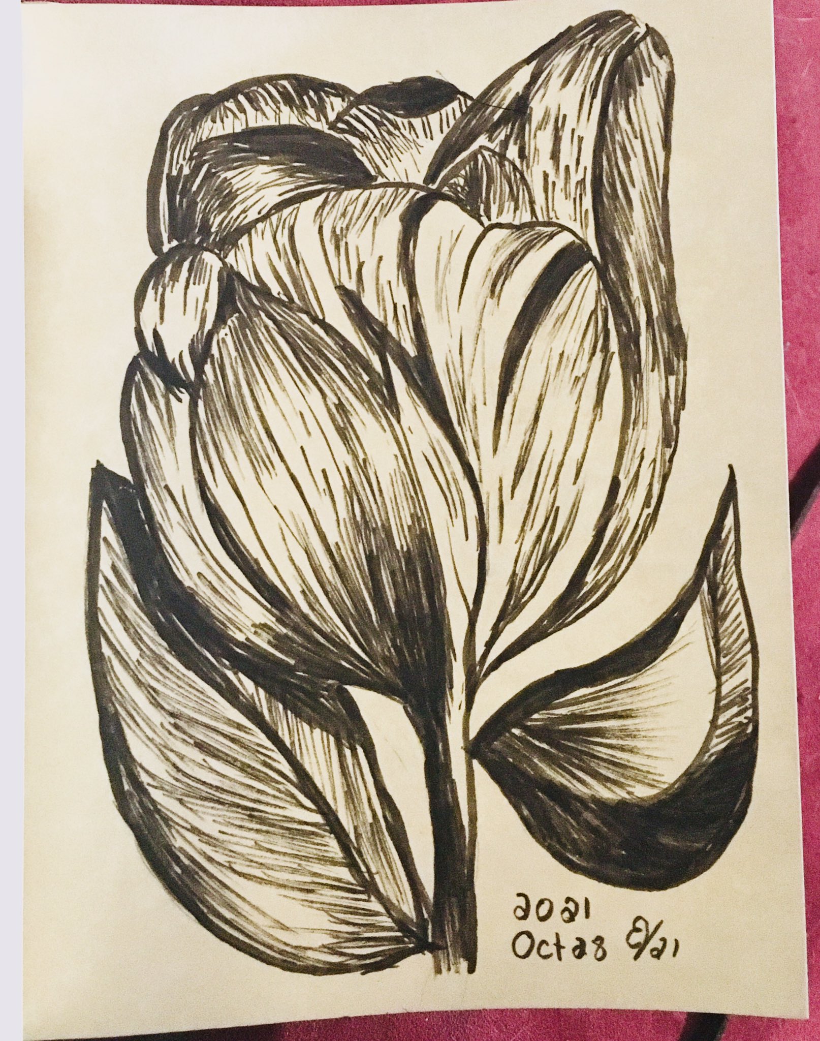 Tulips Twitter Search Twitter