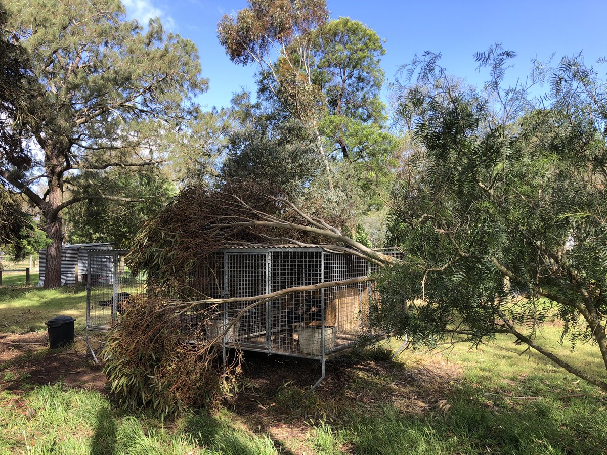 Andrew Whitlock tweet media