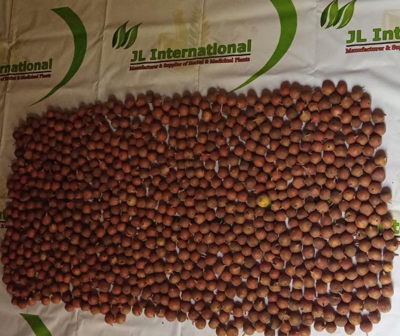 JL_Intl's tweet photo. Ficus carica / Fig Fruit / அத்திப் பழம்

Scientific Name: Ficus carica
English Name: Figs
Tamil Name: அத்தி பழம் / Athi Pazham
Hindi Name: अंजीर फल / Aththi Chakka
Malayalam Name: ആത്തചക്ക / Anjeer Phal
Telugu Name: అంజీర్ పండు / Anjeer Pandu

WhatsApp: +91 9944257250. https://t.co/VUzvMbXj1j