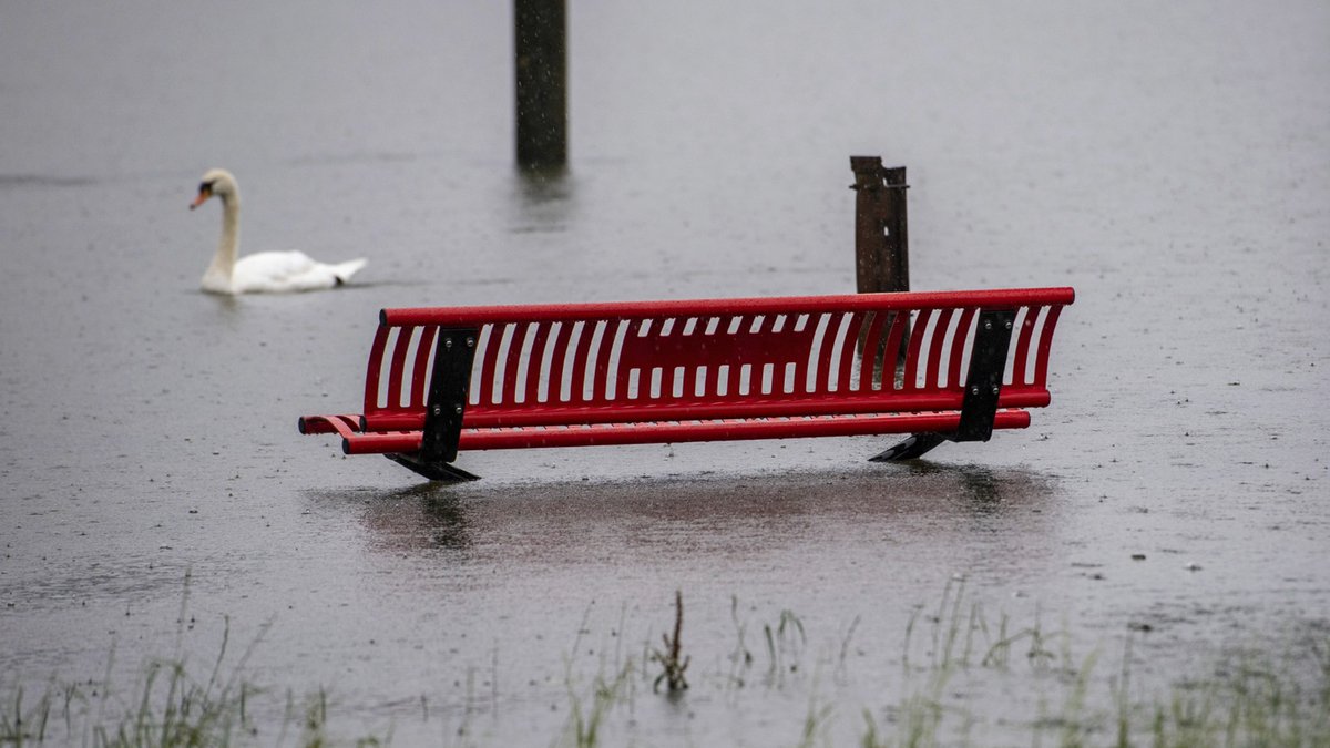 Am Sonntag startet der #Klimagipfel in Glasgow. <a href="/ETH/">ETH Zürich</a>-Klimaforscherin <a href="/SISeneviratne/">Prof Sonia I. Seneviratne</a> sagt, wie ernst die Lage ist. Und was am <a href="/COP26/">COP26</a> – und in der #Schweiz – entschieden werden müsste: migmag.ch/klimagipfel