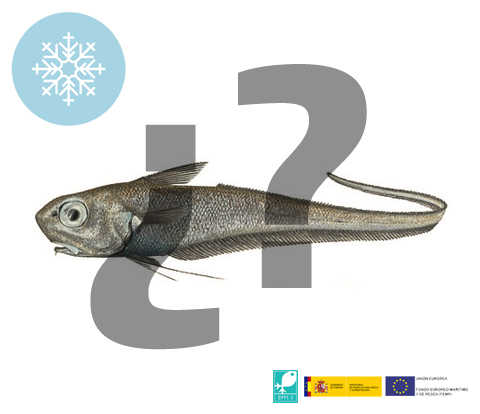 congeladoOPPC3's tweet photo. 🧐 Se acaba octubre y le decimos hasta luego a la Platija Americana. ¡Qué buenos momentos nos ha dado en la cocina! ¿Cuál será la especie que protagonizará noviembre? ¿Te suena?

#PescadoCongelado #12Meses12Especies  #OPPC3 https://t.co/jhnHedYhQs