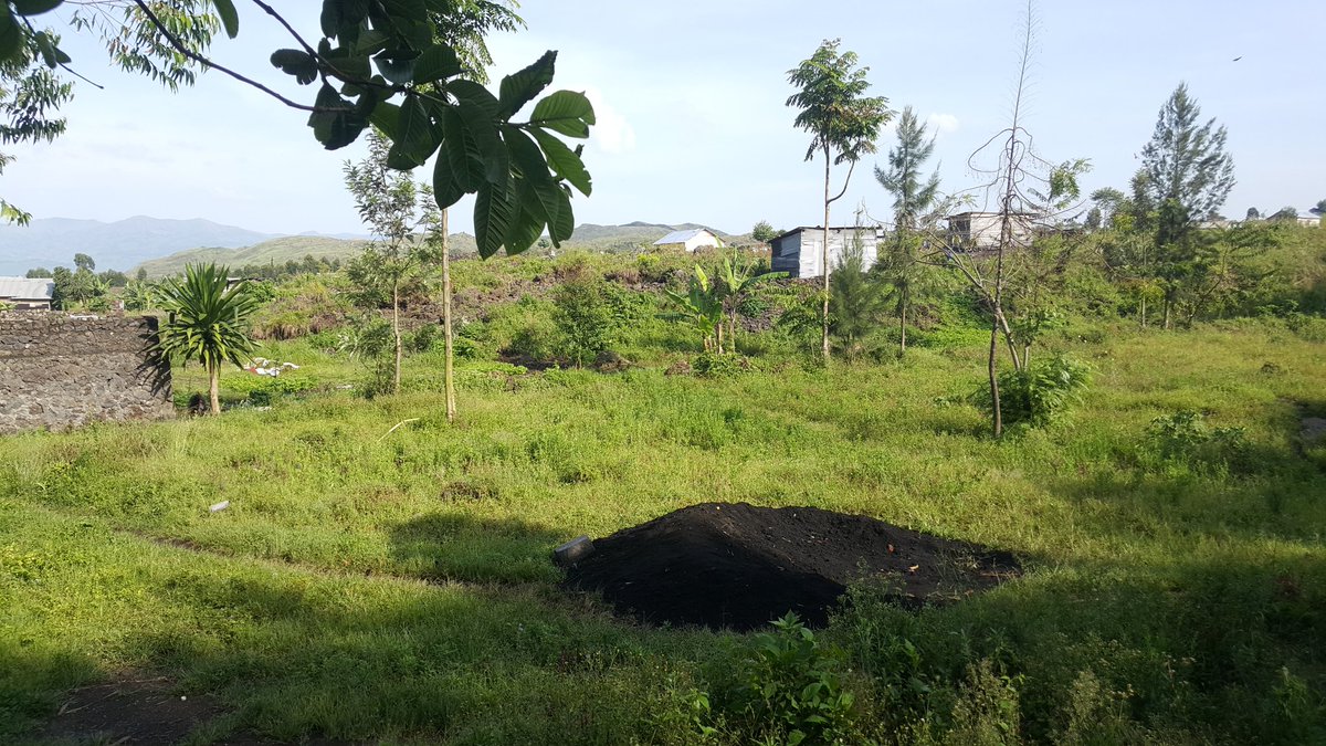 RenacofUdongo's tweet photo. La nature @congolaise https://t.co/6G0Up65V3N