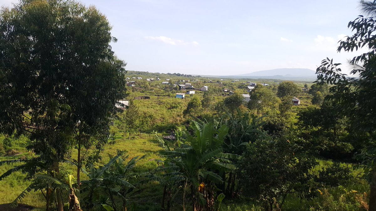 RenacofUdongo's tweet photo. La nature @congolaise https://t.co/6G0Up65V3N