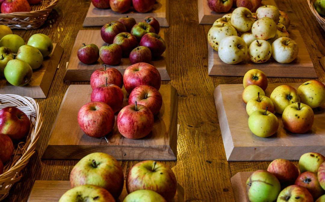 ApplesandPeople's tweet photo. You're invited to step into the Museum of Cider to explore a 360° interactive virtual tour via the Apples and People website (link in bio). #applesandpeople #apshare #museumofcider #virtualtour #apples #appleart #applehistory #applescience #museum #pomona #infinityunltd #cider https://t.co/HMPqagMr1w