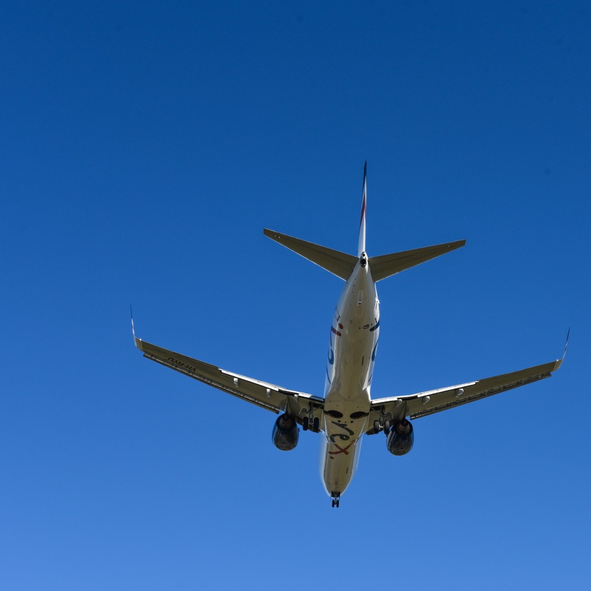 AdelaideAirport's tweet photo. The Eastern states are calling 📞
@RexAirlines have answered by bringing back flights between Melbourne and Adelaide from 26 November, with fares from just $59* one-way!
T&Cs apply. Book now 👉 https://t.co/1JxnEwtybg
#AdelaideAirport #FlyADL #MelbourneAirport #REXAirlines https://t.co/ZsAzmFkiJz