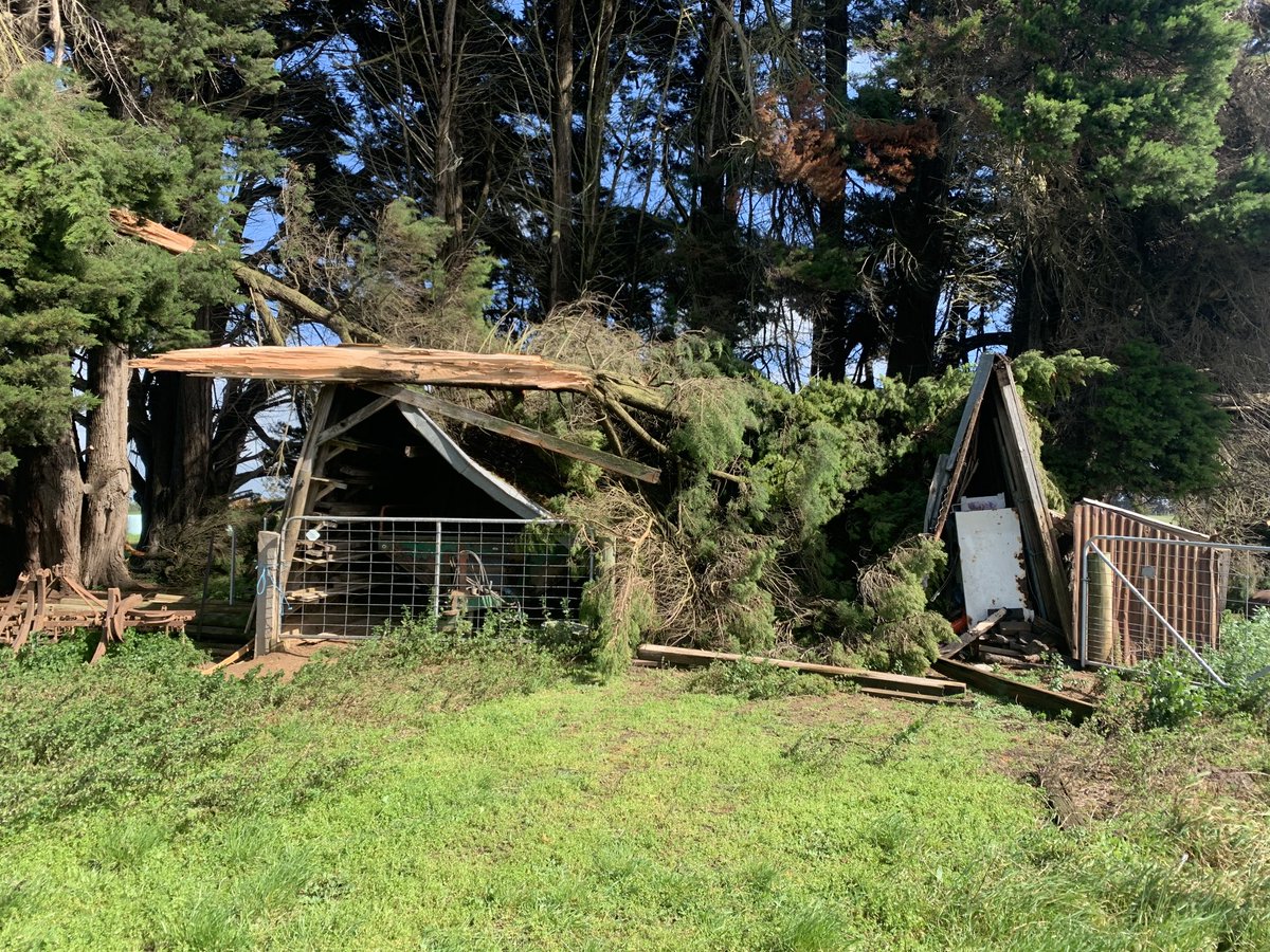 Bloody wind 😬🤬🤬