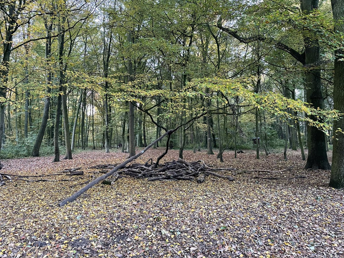 Annatinax's tweet photo. Neuer Bauherr gesucht #walking #running #huels #huelserberg #waldpaedagogik !B https://t.co/oXUcYU9Uc1