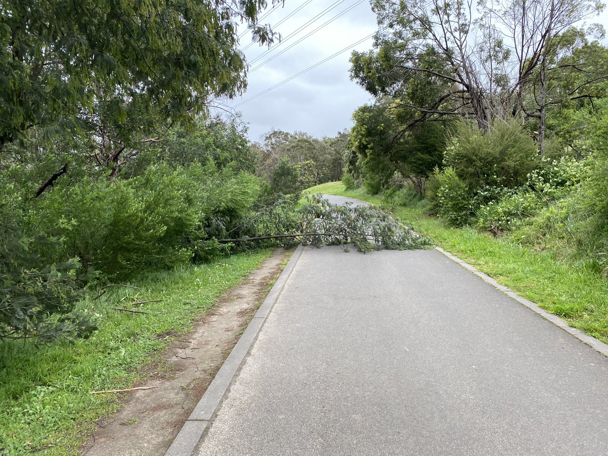 OlsenOula's tweet photo. So many broken and uprooted trees on my walk this morning! What wild winds we had overnight & early this morning! Still managed another 10.5km to add to my 138km… 148.5km for the #RedSocksAppeal & only 1.5km to hit my end of month target! Let’s all support @KidneyHealth https://t.co/GMHEJE5obL