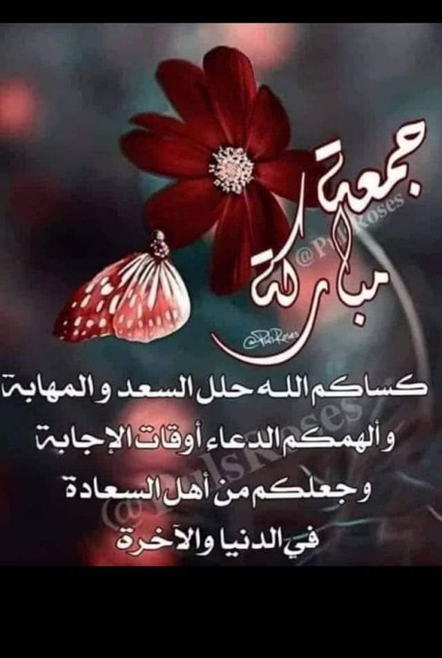 جنة الرحمن (@mabroukamahmou2) on Twitter photo 