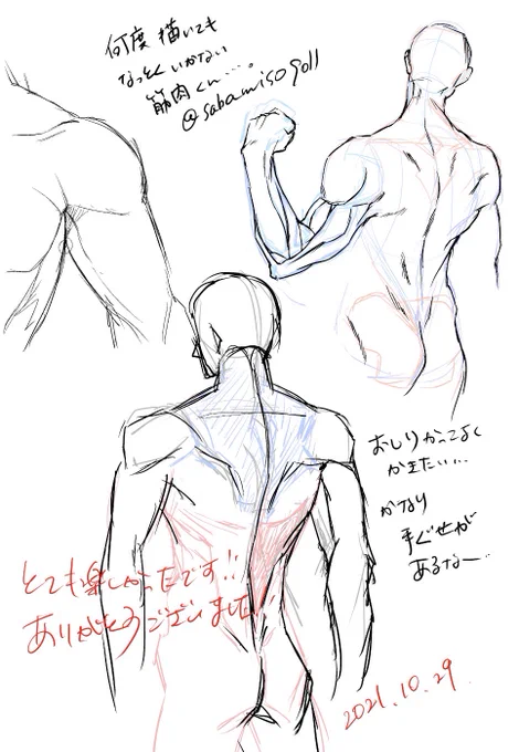昼間、相良さんのお絵描きお勉強会の参加させて頂きました!
ありがとうございます😊😊 