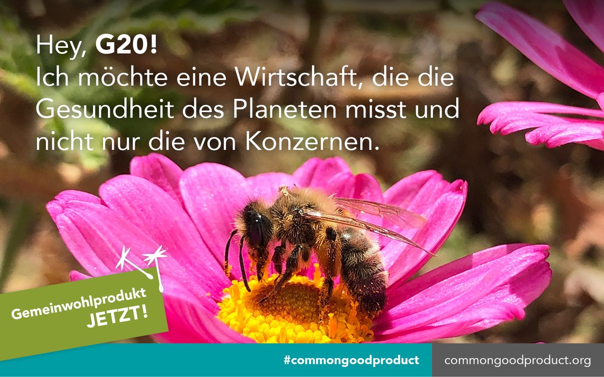 gwoe_schweiz's tweet photo. Das Bruttoinlandsprodukt (BIP) ist nicht dazu geeignet, das Gedeihen der Menschen und des Planeten zu fördern. Es zeigt den Entscheidungsträgern nicht, wie nachhaltig unsere Volkswirtschaften wirklich sind. 
Mehr Informationen unter https://t.co/No2LCG9Hnh. 
#commongoodproduct https://t.co/cNxAMAnebi